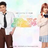 Musical Koe no Katachi